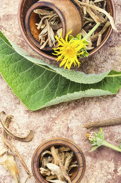 Mortero con raíces de inula —  Fotos de Stock