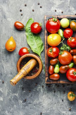 Turşu veya konserve domates