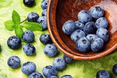 Çilek yaban mersini veya yabanmersini