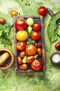 Sonbahar domates koruma