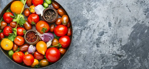 Autumn canning tomatoes — Stock Image Autumn canning tomatoes Stock Picture