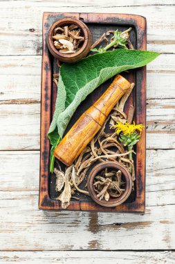 Rhizomes inula on cutting board clipart