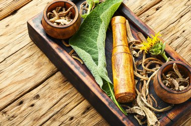 Kesme tahtasında rhizomes Andızotu