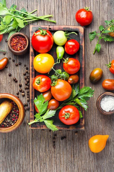Tomaten met beitsen of inblikken — Stockfoto