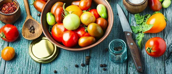 Pickling or canning tomatoes — Stock Image Pickling or canning tomatoes Royalty Free Stock Photos