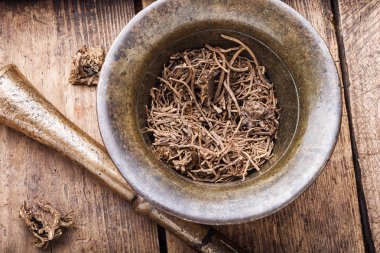 Valerian herb root clipart