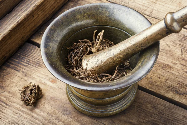 Dry valerian root — Stock Photo, Image