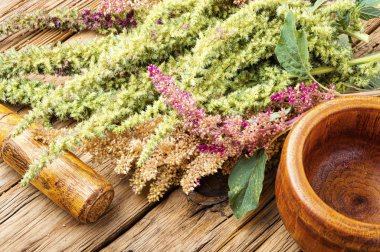 Amaranth ve bitkisel ilaç