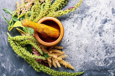 Amaranth ve bitkisel ilaç