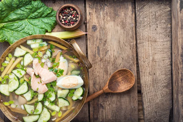 Овощной суп с рыбой — стоковое фото