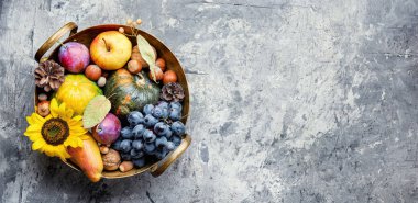 güzel sonbahar kompozisyon