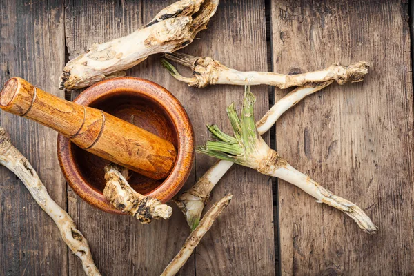 Meerrettich auf einem Holztisch — Stockfoto