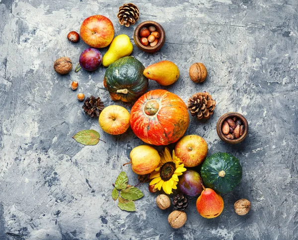 Frutas de outono ainda vida — Fotografia de Stock