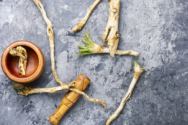 Roots of horseradish — Stock Photo, Image