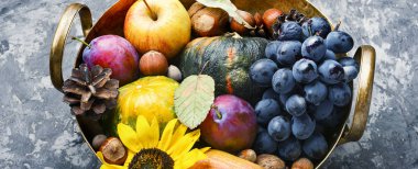 güzel sonbahar kompozisyon