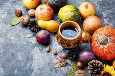 güzel sonbahar kompozisyon