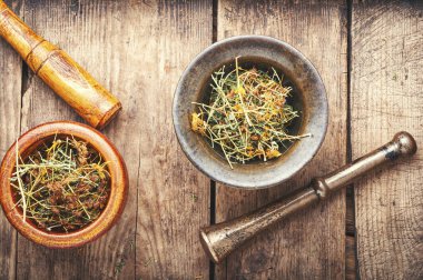 Hypericum şifa tesisi