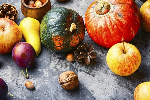 Herfst stilleven van fruit — Stockfoto