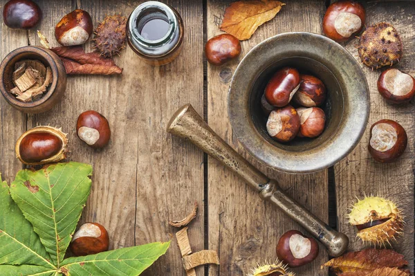 Chestnut in herbal medicine — Stock Photo, Image