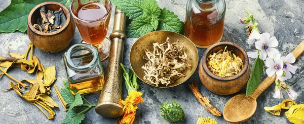 Bitkisel naturopathic tıp — Stok fotoğraf