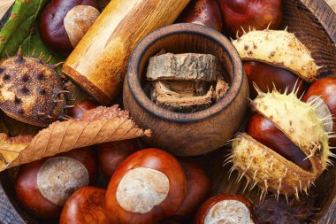 Bitkisel ilaçlarda kestane