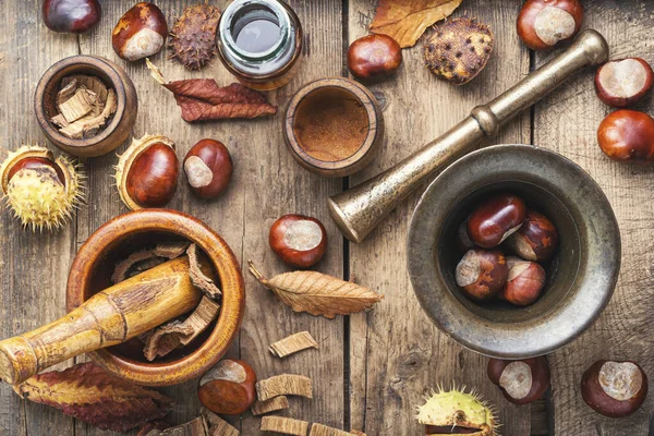 Chestnut in herbal medicine — Stock Photo, Image