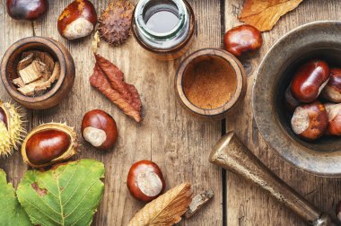 Bitkisel ilaçlarda kestane