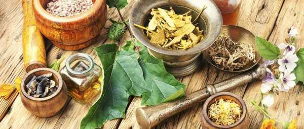 Set healing herbs — Stock Photo, Image