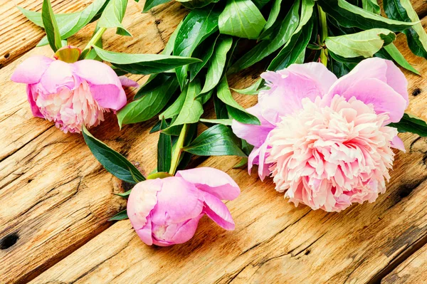 Eleganter Strauß Rosa Pfingstrosen Auf Dem Tisch — Stockfoto