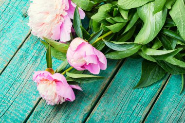 Masanın üzerinde zarif pembe şakayık demeti