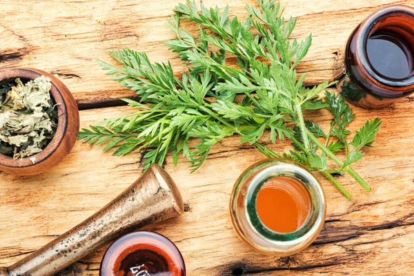 Healing Properties Wild Carrots Herbal Medicine Fresh Medicinal Healing Plants — Stock Photo, Image
