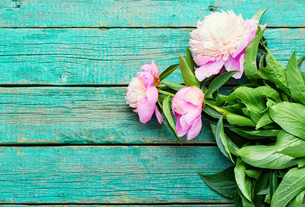 Eleganter Strauß Rosa Pfingstrosen Auf Dem Tisch — Stockfoto