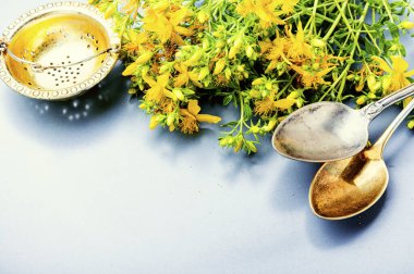 Hiperikum ile güzel kokulu bitki çayı. Bitkisel ilaç. Bitkilerle çay.