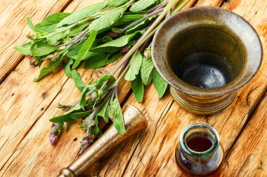 Kırsal ahşap masa üzerinde adaçayı yaprakları ya da salvia. Şifalı bitkiler.