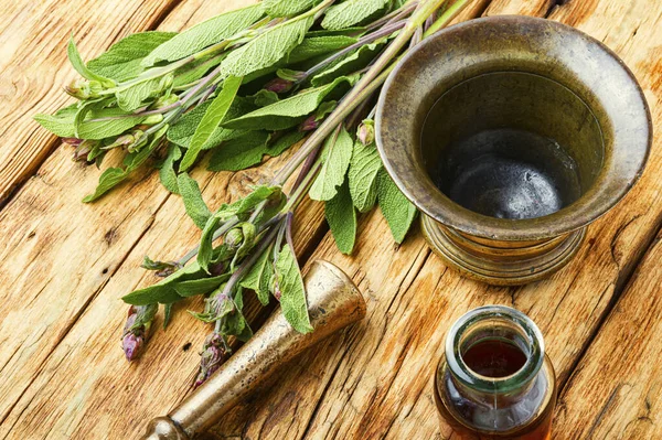 Hojas Salvia Salvia Una Mesa Madera Rústica Hierbas Curativas — Foto de Stock