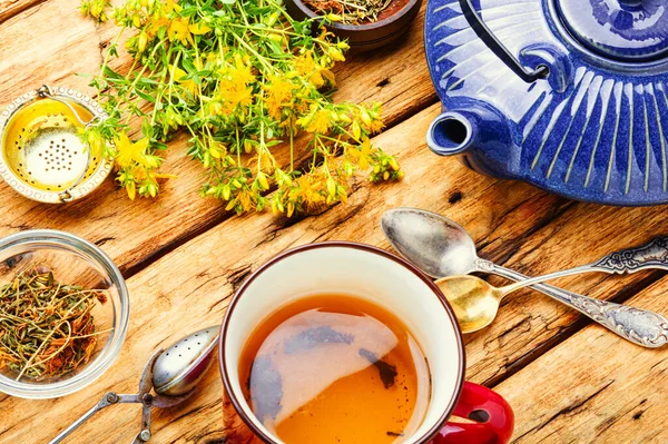 Kupák Egészséges Gyógynövény Tea Hypericum Gyógynövény — Stock Fotó