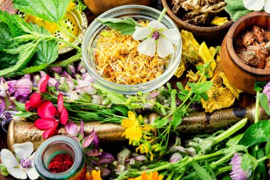 Taze ilaç, şifalı bitkiler. Alternatif ilaç. Bitkisel ilaç ve homeopati.