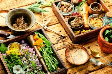 Taze ilaç, şifalı bitkiler. Alternatif ilaç. Doğal bitkisel ilaç.