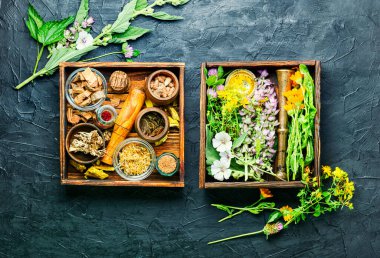 Taze ilaç, şifalı bitkiler. Alternatif ilaç. Doğal bitkisel ilaç.