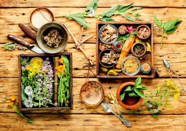 Taze ilaç, şifalı bitkiler. Alternatif ilaç. Doğal bitkisel ilaç.