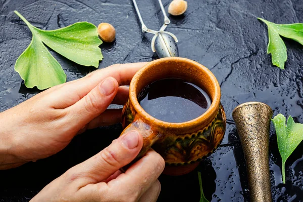 Healing Herbal Tea Leaves Seeds Ginkgo Biloba Medical Plants Herbal — Stock Photo, Image