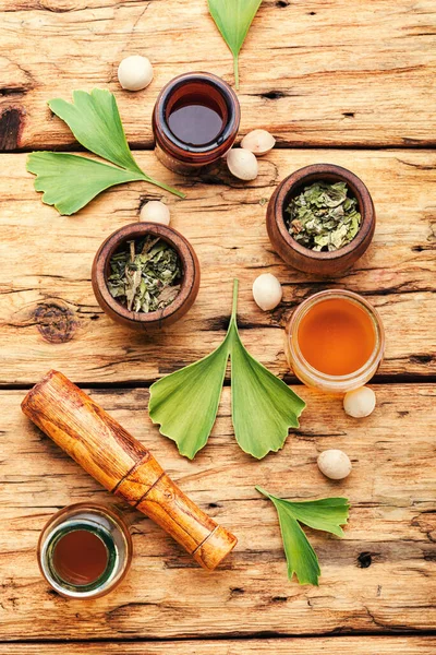 Healing Properties Seeds Leaves Ginkgo Biloba Herbal Medicine — Stock Photo, Image