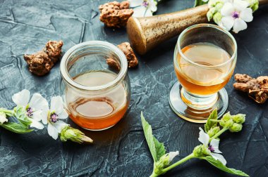 Tedavi edici şifalı bitkisel çaylar ve althea kökü iksirleri. bitkisel ilaçlar