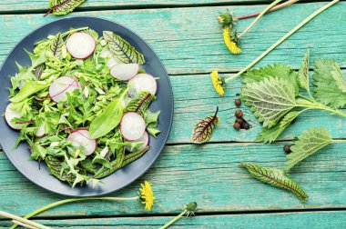 Turp, ısırgan otu, kuş ve karahindiba salatası.