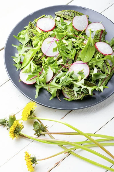 ミックスグリーンの新鮮なサラダ大根 タンポポの春のサラダ — ストック写真