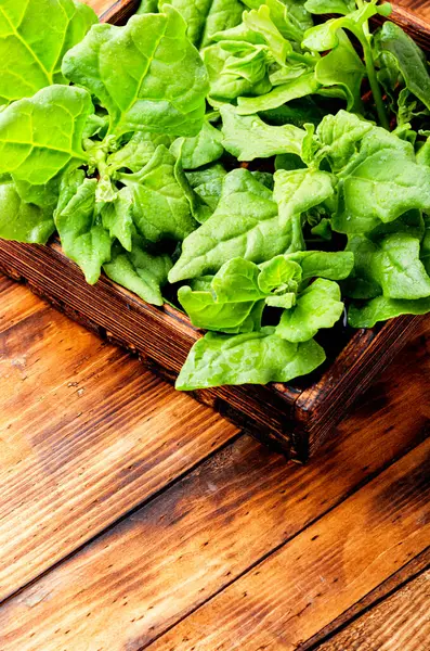 Fresh Spinach Leaves Rustic Wooden Table — Stock Photo, Image