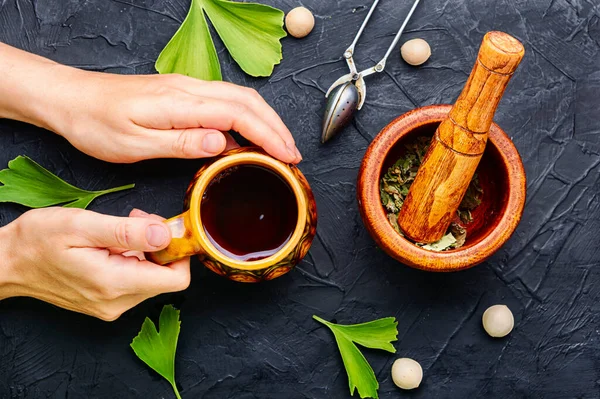 Heilender Kräutertee Aus Den Blättern Und Samen Von Ginkgo Biloba — Stockfoto