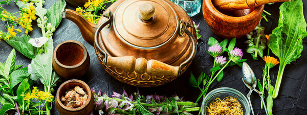 Fresh medicinal, healing herbs.Alternative medicine herbal.Natural herbal medicine