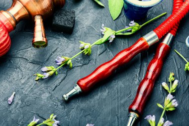 Ot tüttürmenin ayrıntıları. Bitkiler üzerinde nargile. Adaçayı aromalı nargile tütünü.
