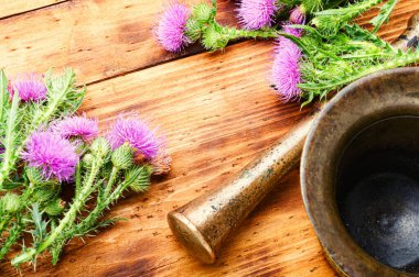 Bitkisel ilaçlarda devedikeni ya da silybum. Yabani otları iyileştiriyor..